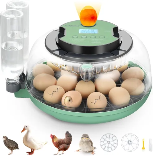 Incubadora de 18 huevos con giro automático de huevos, unidad de eclosión con control digital y vela integrada, bandeja de huevos de 2 tamaños,