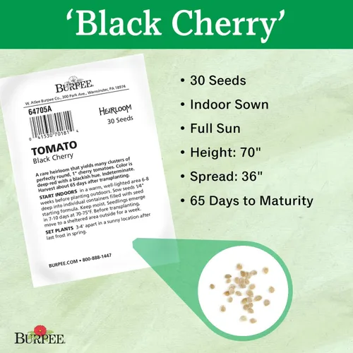 Miniatura 3 de Burpee Tomate 'Black Cherry' - Tomate cereza púrpura, sabor dulce y rico, 30 semillas Cereza Negra