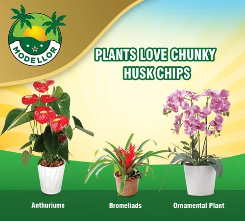 Miniatura 6 de MODELLOR Premium súper lavado, limpio, chips de coco, rinde 2 pies cúbicos de chips sueltos. Sustrato para reptiles, orgánico, absorbe olores