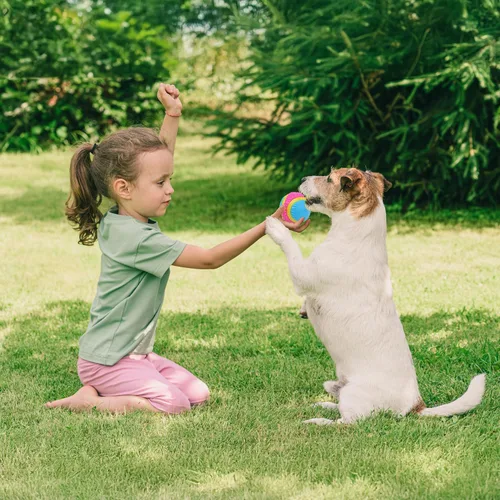 Miniatura 4 de Bola de juguete para perros Ethical Pets Sensory Ball, 2.5", Colores Variados