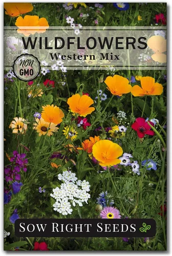 Sow Right Seeds - Mezcla de semillas de flores silvestres para plantar en el oeste - Paquete de reliquia sin OMG con instrucciones para cultivar un