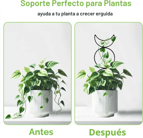 Miniatura 5 de 4 Paquetes de Enrejados para Plantas Trepadoras de Interior, HENABLE Enrejado de Metal Pequeño para Jardín para Plantas en Macetas al Aire Libre