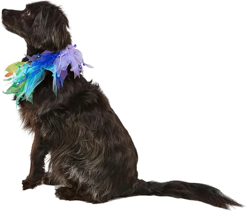 Miniatura 5 de Rubies Costume Company Fancy Rainbow Pet Collar, Varios