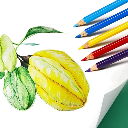Miniatura 6 de Skkstationery - Lápices de colores, preafilados