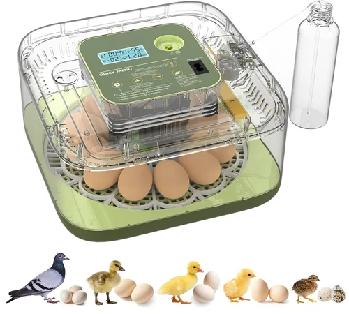 Incubadoras para incubar huevos de 12 huevos, incubadora digital de huevos de precisión, control automático de humedad de temperatura de 6