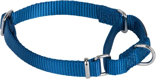 Miniatura 41 de Collar Hyhug Pets de nailon resistente, cómodo y seguro, para entrenamiento profesional, martingala, uso diario, para caminar, antiescape, para Azul