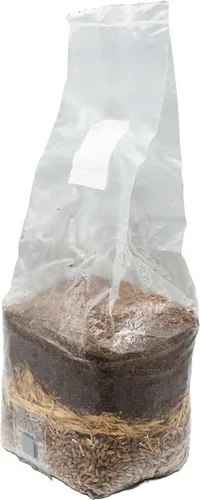 Miniatura 3 de Bolsa de cultivo de hongos todo en uno a base de madera