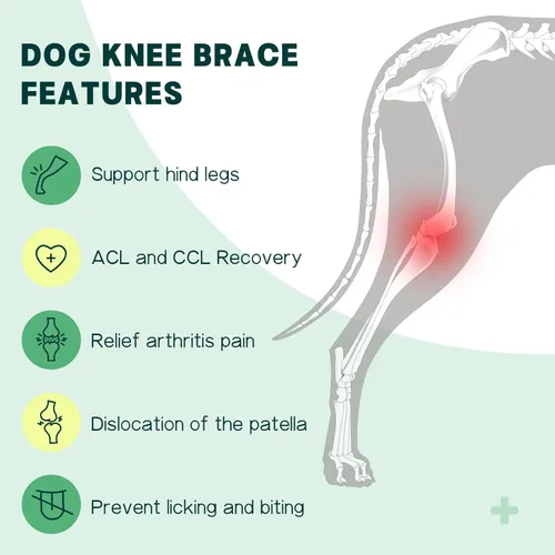 Miniatura 5 de Rodillera para perro para pierna trasera desgarrada del ligamento cruzado anterior – Soporte de pierna de perro para pierna trasera con 2 Pierna