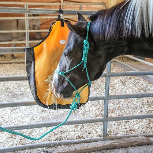 Miniatura 4 de Majestic Ally Cabestro de entrenamiento de poliéster rígido de 1/4 pulgadas con 4 nudos con cuerda de plomo a juego de 10 pies para caballos, Negro