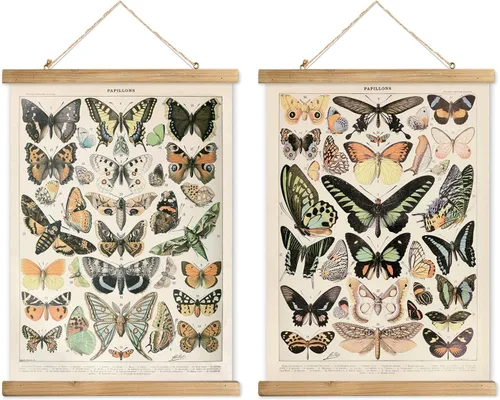 Miniatura 33 de XIAOAIKA Póster Educativo de Vida Silvestre de Seto Británico - Cuadro Ilustrado de la Naturaleza con Marco de Madera - Arte de Pared de Animales