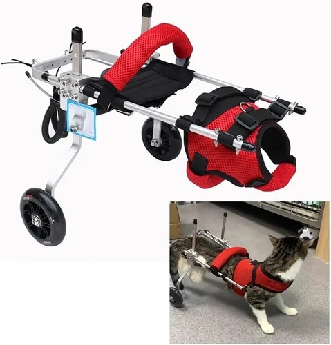 Silla de ruedas ajustable para gatos, silla de ruedas para mascotas totalmente personalizable para perros y gatos pequeños con correa de pecho a