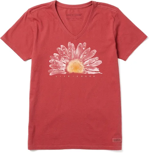 Life is Good Womens Floral Print Short Sleeve Cotton Tee Graphic V-Neck T-Shirt, Watercolor Daisy Bird