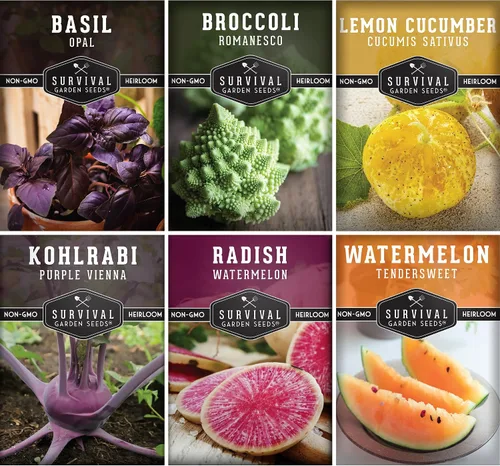 Raras semillas exóticas de vegetales y frutas para plantar – Paquete de 6 variedades autóctonas con Romanesco, pepino limón, rábano sandía y más de