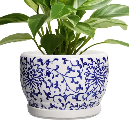 Miniatura 16 de SQOWL Macetas de cerámica – Maceta de 6 pulgadas con orificio de drenaje y bandeja, maceta redonda para plantas de interior, maceta decorativa