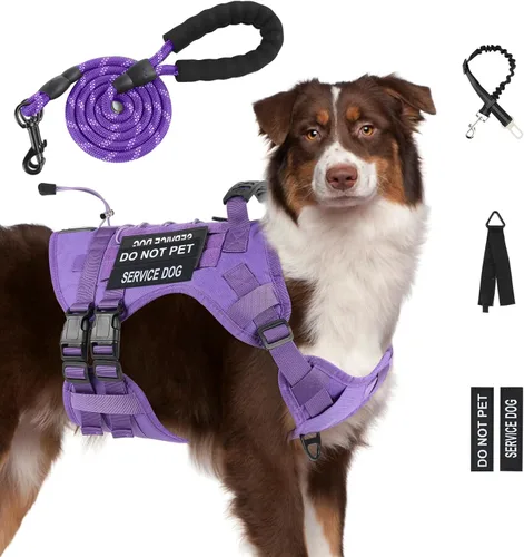 Miniatura 15 de Arnés táctico sin tirones para perros grandes, juego de arnés y correa para perro, Molle a prueba de escapes, arnés ajustable para perro de servicio
