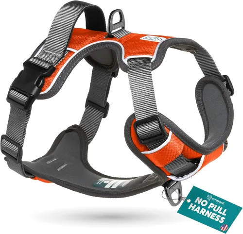 Miniatura 17 de Arnés para perro de aventura Embark, arnés para perro sin tirones con ribete reflectante para perros grandes - Nylon de grado militar, clip frontal