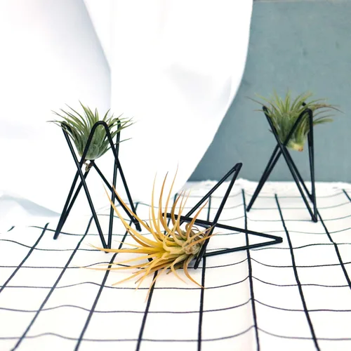 Miniatura 7 de Paquete de 4 soportes para plantas de aire, base Tillandsia, soporte geométrico moderno de metal para plantas de aire, estante de exhibición