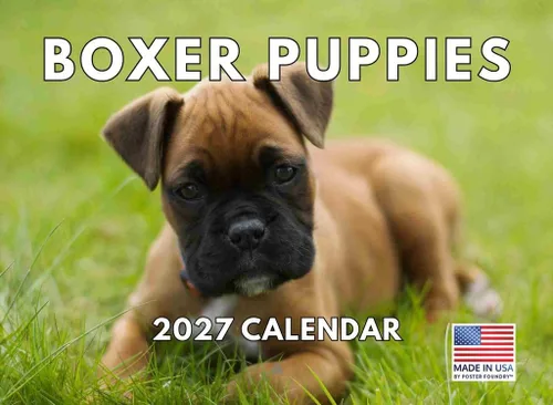 Miniatura 129 de Calendario de pared mensual 2025 Great Dane de 12 meses, fabricado en Estados Unidos