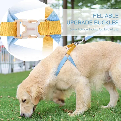 Miniatura 5 de Juego de arnés y correa para perro sin tirones, collar de perro, arnés halter para perro con soporte para bolsa de excrementos, correas ajustables