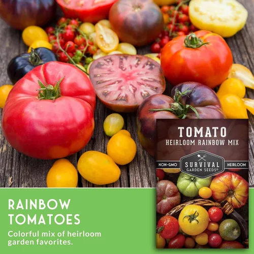Miniatura 3 de Heirloom Rainbow Mix - Semillas de tomate para plantar, mezcla de semillas coloridas de variedades de reliquia, tomates de jardín de alto