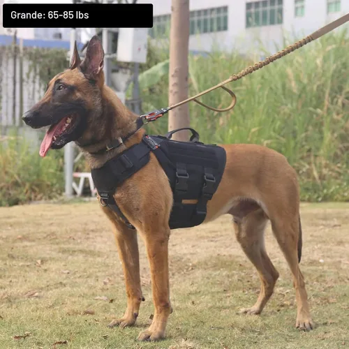 Miniatura 2 de ICEFANG GN3 - Arnés táctico para perros con 6 hebillas, chaleco Molle para perro con asa, cobertura de 3/4 del cuerpo, panel de gancho y bucle