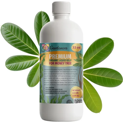 GARDENERA Superalimento orgánico prémium de algas marinas y algas marinas para plantas de árbol del dinero, 32 onzas, concentrado de fertilizante