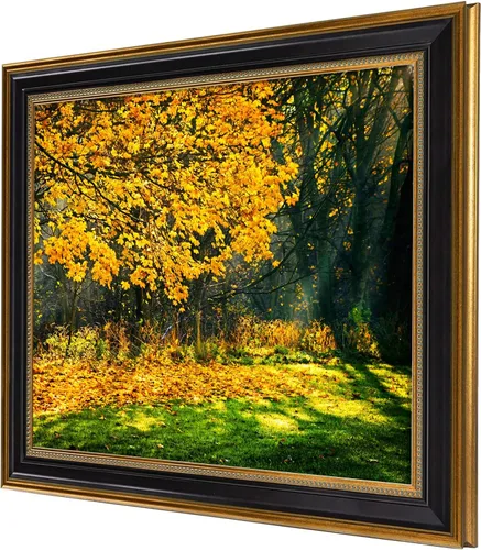 Miniatura 2 de marco de fotos de 16x20 pulgadas sin paspartú para póster/foto/impresión de 16x20, pantalla de montaje en pared de vidrio real resistente a roturas
