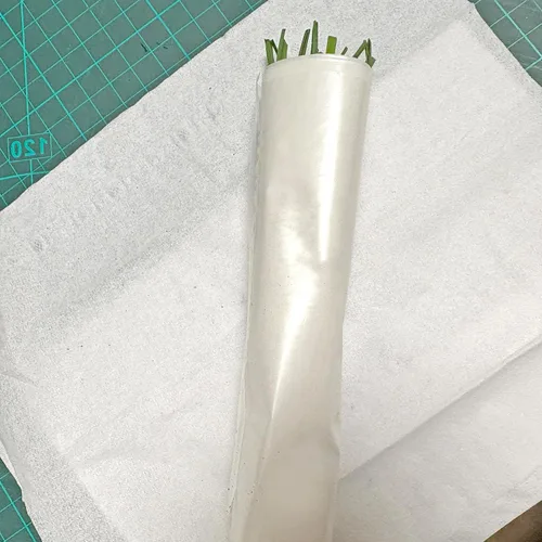 Miniatura 8 de Orgánicos 10 Plantas Ajo Cebollino Planta Viva Raíces Desnudas Hierba Perenne Resistente Jiu CAI Cebollino