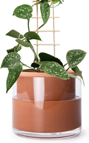 Miniatura 8 de Maceta auto-regante Phoenix Vine de 6 pulgadas, diseño en terracota blanca para plantas, maceta cilíndrica de terracota interior con jarrón de Blanco