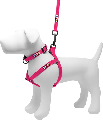 Pawtitas Paquete económico | Arnés para perro extra pequeño + collar para perro extra pequeño + correa extra pequeña de 6 pies para perro, juego rosa