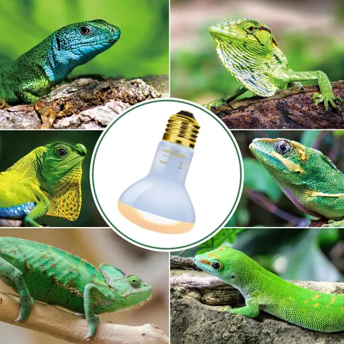 Miniatura 7 de REPTI ZOO Paquete de 2 lámparas de neodimio de neodimio para reptiles de 75 W, bombilla UVA, lámpara de calor de reptil para anfibios, lagartos