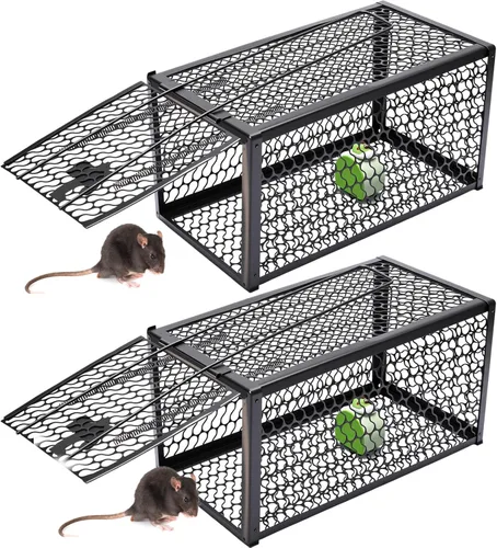 Qualirey Trampa humana para ratas, ardilla, roedor, ratón, ardilla, trampa para ardillas, 11 x 6 x 6 pulgadas, para animales vivos, ratones,