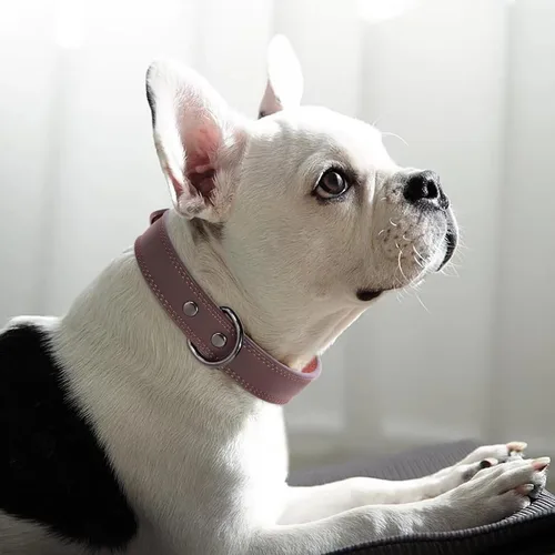 Miniatura 3 de Didog Collar de perro de cuero genuino para perros pequeños, duradero y suave, con anillos dobles en D y hebilla de metal, marrón, S