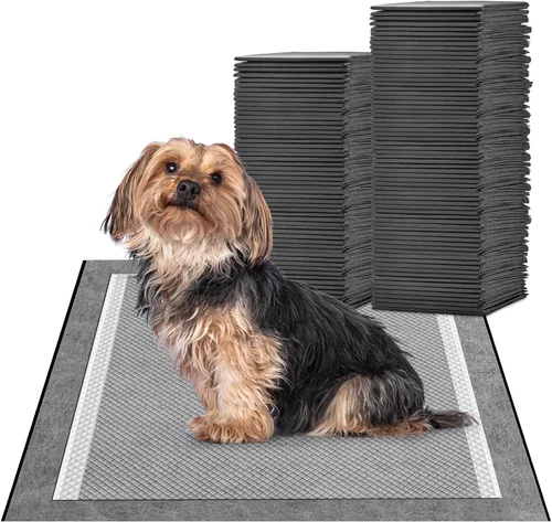 MIZOK Almohadillas para cachorros para perros de 23 x 24 pulgadas, almohadillas para mascotas que eliminan el olor a carbón para perros, absorben