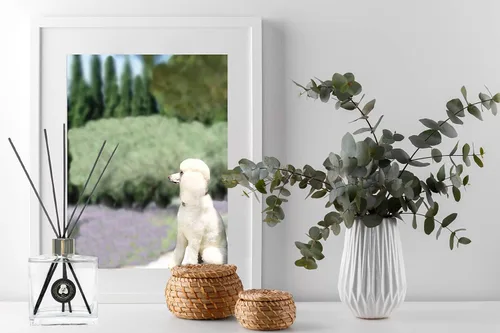Miniatura 4 de Rainier's Gifts Juego de difusor de varillas (French Country Rose Garden) – Varillas difusoras de aceite perfumado – Ambientador de aromaterapia