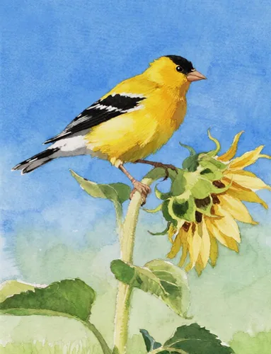 Miniatura 9 de RGBMIX Libro de 12 hojas de papel para acuarela de pájaros 9x12'' Libro de papel para acuarela, papel para colorear, bloc de pintura, alivio