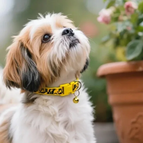Miniatura 4 de Collares de camuflaje personalizados para perros, collares ajustables de nailon ligero para mascotas, hebilla de liberación rápida, perfectos