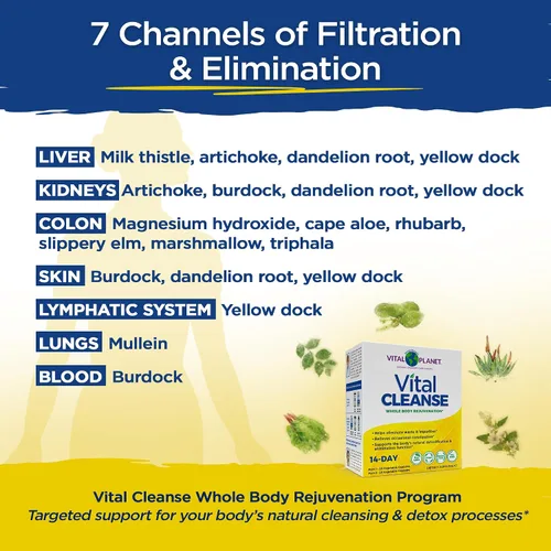 Miniatura 5 de Vital Planet - Vital Cleanse con cardo mariano, magnesio, aloe del cabo y hierbas, suplemento natural para estreñimiento ocasional y eliminación