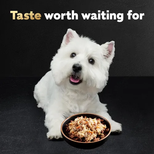 Miniatura 9 de Cesar Wholesome Bowls - Comida húmeda para perros adultos, carne de res, pollo, patatas moradas y zanahorias, comida húmeda para perros, 3 oz. por