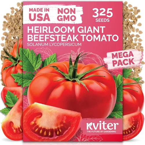 Miniatura 19 de KVITER 100 semillas de guisantes azucarados (Pisum sativum) – Semilla autóctona de guisantes dulces, sabor crujiente, vainas más jugosas y cosecha