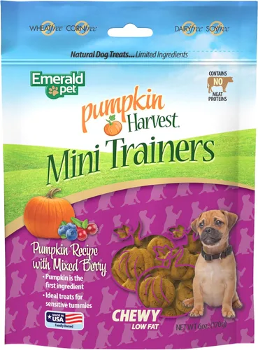 Miniatura 7 de Emerald Pet Pumpkin Harvest Mini Trainers - Golosinas para perros, sabor a calabaza, 6 onzas, golosinas masticables suaves y bajas en grasa