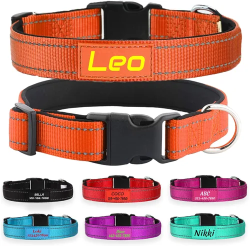 Miniatura 8 de Collar de perro de nailon reflectante personalizado con nombre y número de teléfono personalizados, 5 tamaños y 3 fuentes, acolchado de neopreno