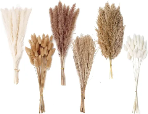 Miniatura 18 de Decoración de hierba de pampa seca natural, 100 piezas de hierba de pampa que contiene colas de conejo blancas flores secas, ramo de hierba de caña