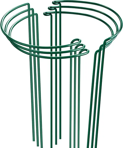 HiGift - Juego de 6 estacas de plantas de 24 pulgadas, jaulas y soporte de medio anillo de 10 pulgadas de ancho x 24 pulgadas de alto de peonía