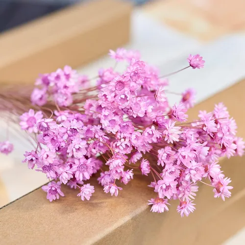 Miniatura 9 de 200 tallos de flores secas naturales brasileñas, margarita estrella pequeña seca, mini ramo decorativo de manzanilla seca para arreglos florales