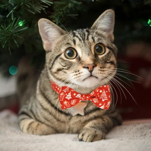 Miniatura 7 de Paquete de 2 collares de pajarita de gato de Navidad con campana, juego de collar ajustable festivo con dijes de árbol y campana, patrones de Papá