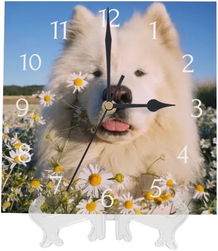 Miniatura 2 de Reloj de pared personalizado, 9.8 in redondo, texto fotográfico, electrónico silencioso, se adapta a la sala de estar, cocina, baño, decoración
