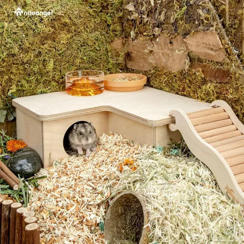 Miniatura 3 de Niteangel Casa de hámster de múltiples cámaras conberinto: - Escondites de múltiples habitaciones y juguetes de exploración de túneles para hámster