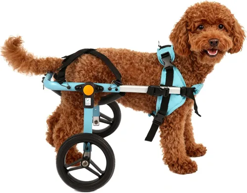 TailWaggers Silla de ruedas para perros para patas traseras | Ayuda de movilidad ajustable | Ruedas todo terreno