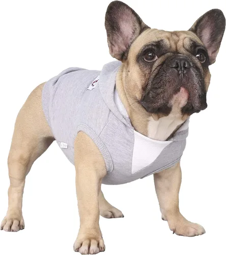 Miniatura 19 de iChoue - Disfraces para perros, I am a French Bulldog, suéteres divertidos, abrigos de invierno, sudaderas con capucha, Frenchie Pitbull Corgi, Pug